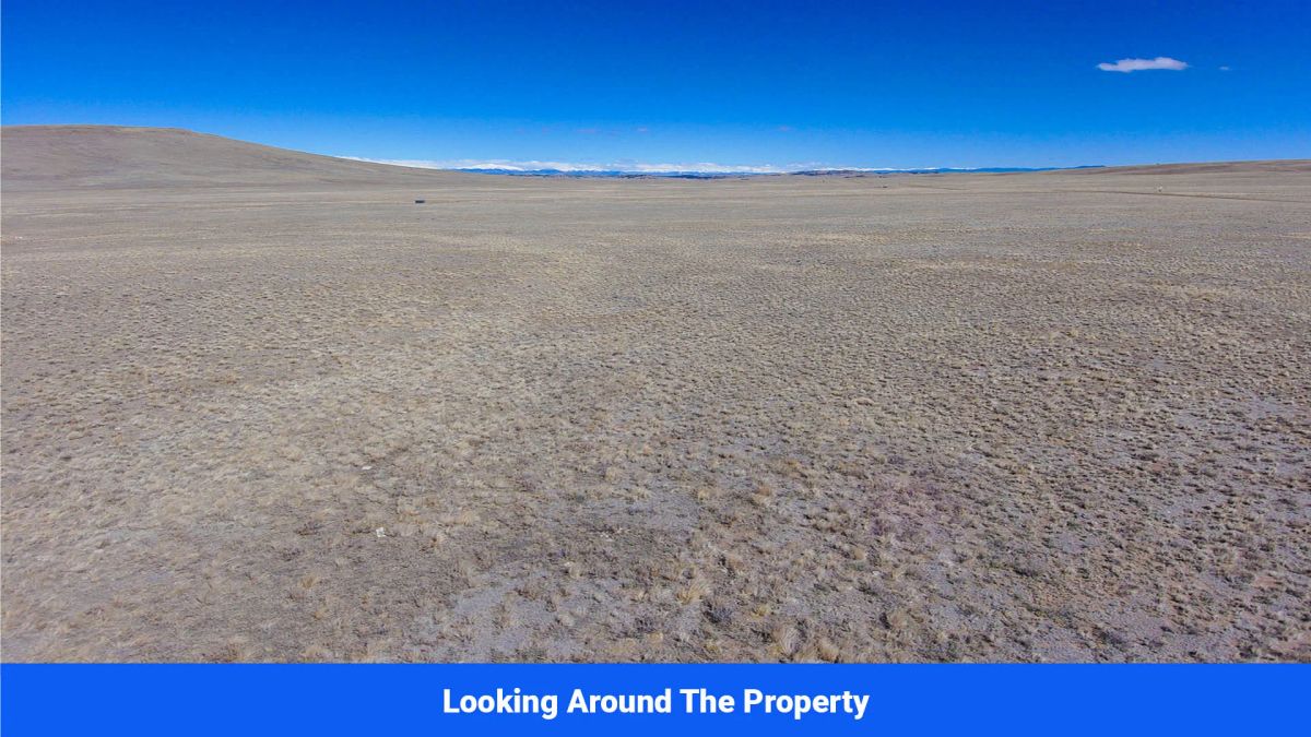Decorative background for Wide-Open Skies & Endless Possibilities on 4.99 Acres in Park County, CO image 6