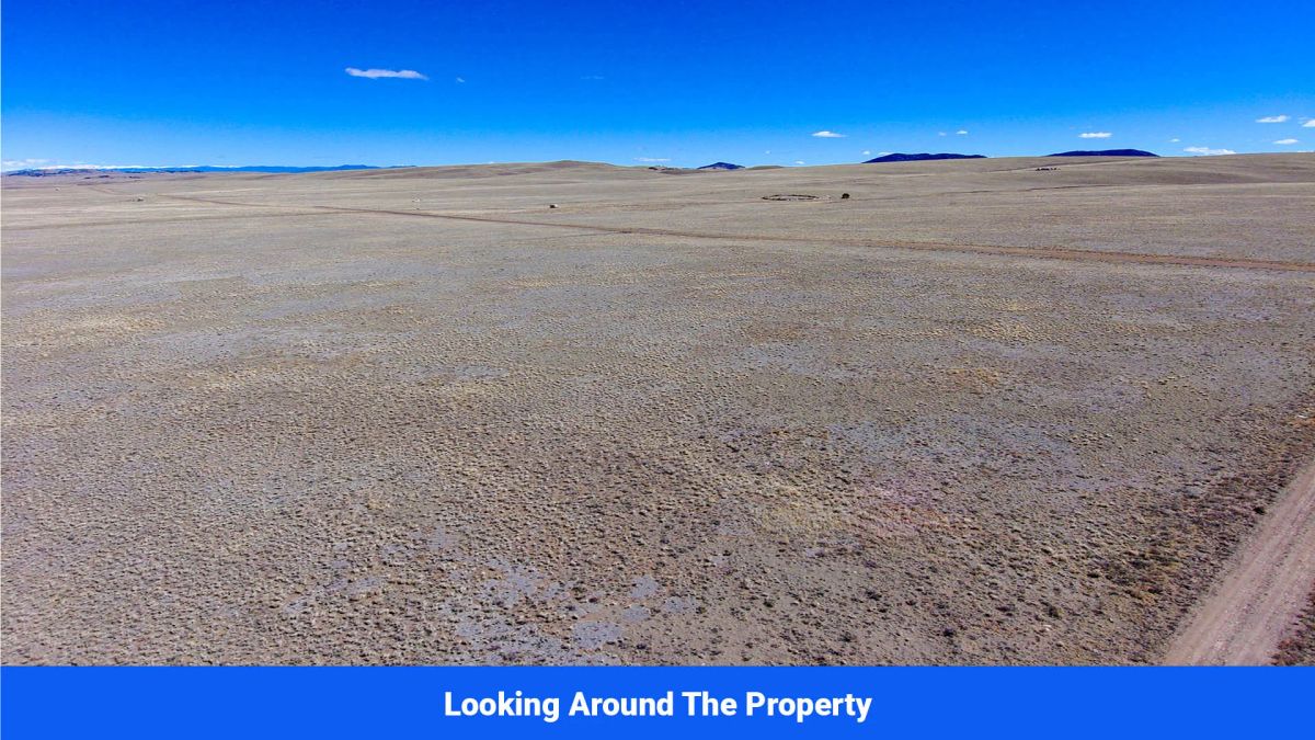 Decorative background for Wide-Open Skies & Endless Possibilities on 4.99 Acres in Park County, CO image 8