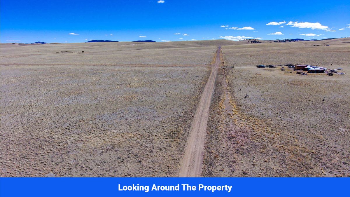 Decorative background for Wide-Open Skies & Endless Possibilities on 4.99 Acres in Park County, CO image 9