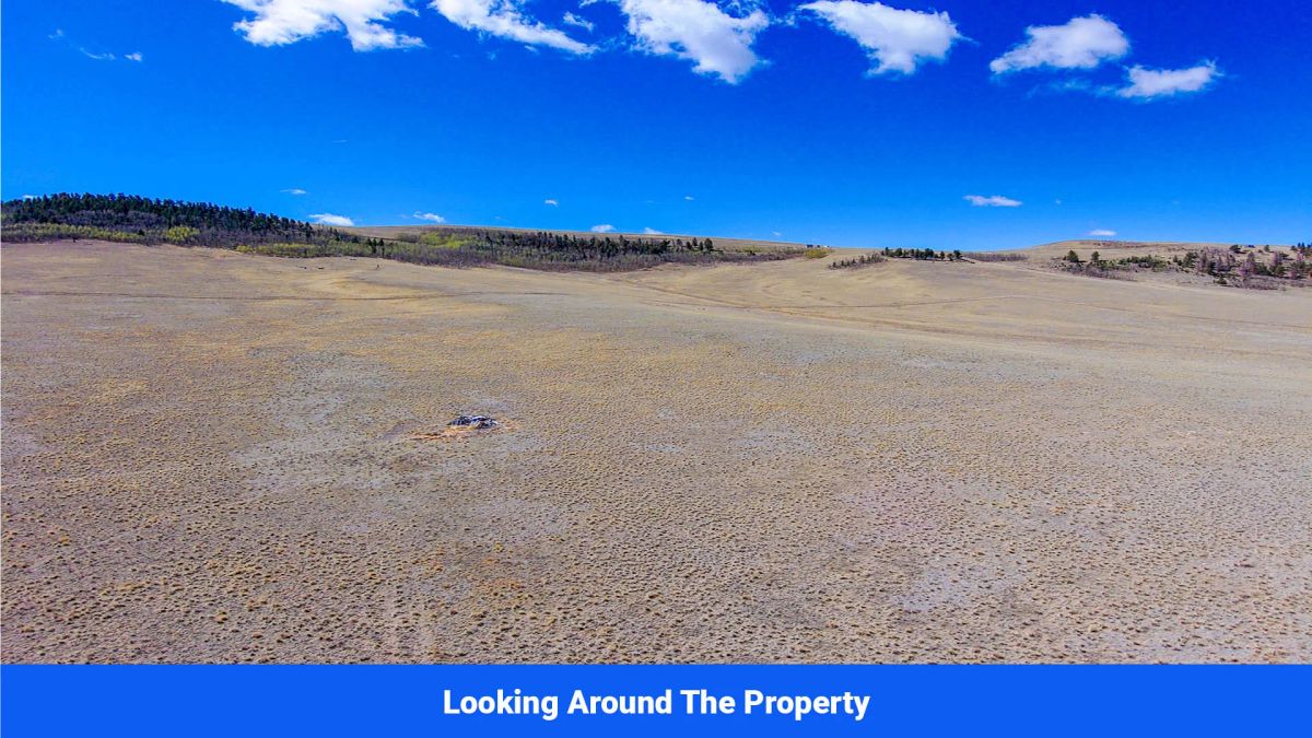 Decorative background for Wide-Open Skies & Endless Possibilities on 4.99 Acres in Park County, CO image 12