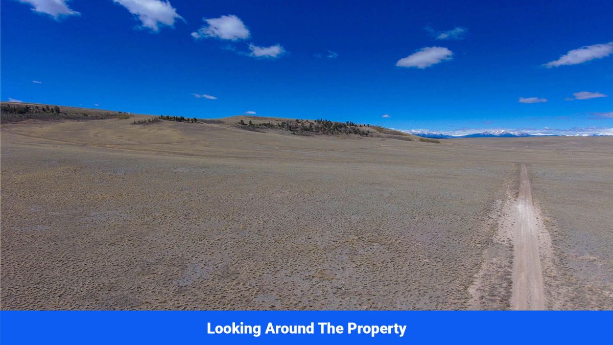 Decorative background for Wide-Open Skies & Endless Possibilities on 4.99 Acres in Park County, CO image 13