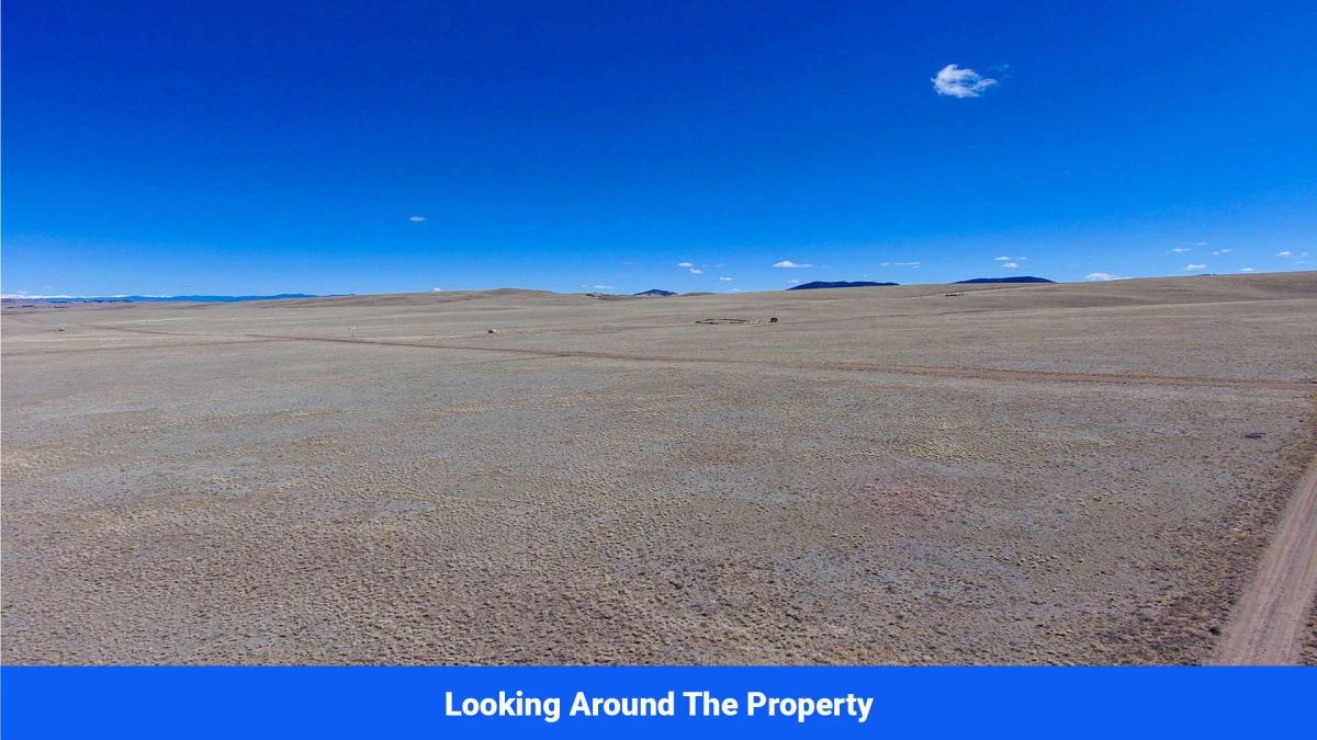 Decorative background for Wide-Open Skies & Endless Possibilities on 4.99 Acres in Park County, CO image 14