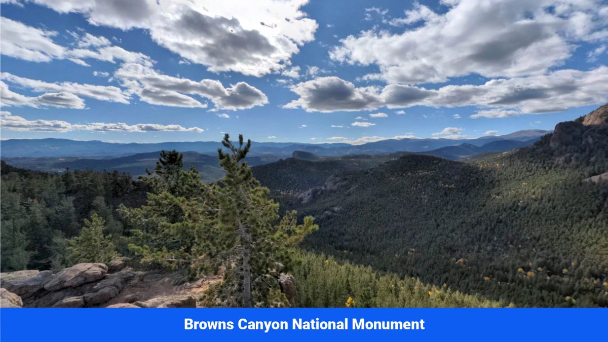 Decorative background for Wide-Open Skies & Endless Possibilities on 4.99 Acres in Park County, CO image 17