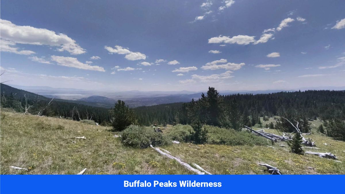 Decorative background for Wide-Open Skies & Endless Possibilities on 4.99 Acres in Park County, CO image 18