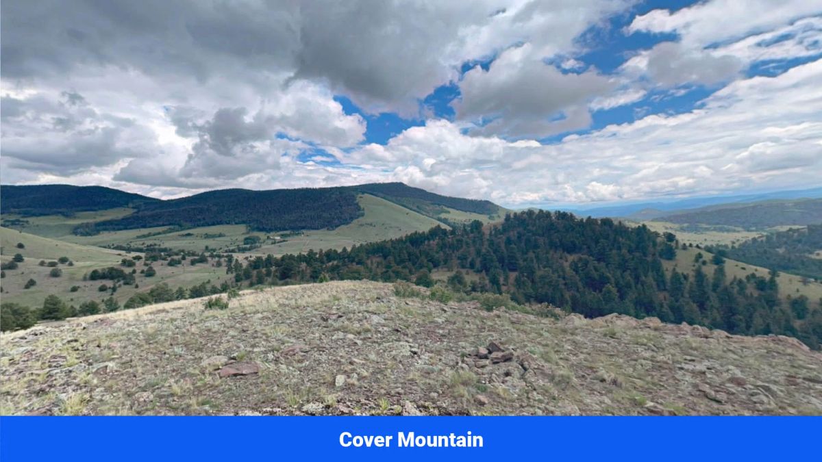 Decorative background for Wide-Open Skies & Endless Possibilities on 4.99 Acres in Park County, CO image 25