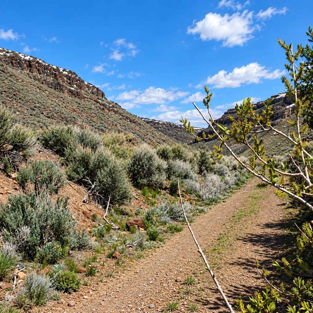 Decorative background for Gold Country Is Booming Again — Own 170 Acres of Nevada Freedom! Discover an extraordinary opportunity to own approximately 170 acres in Crescent Valley, Lander County, Nevada. image 19