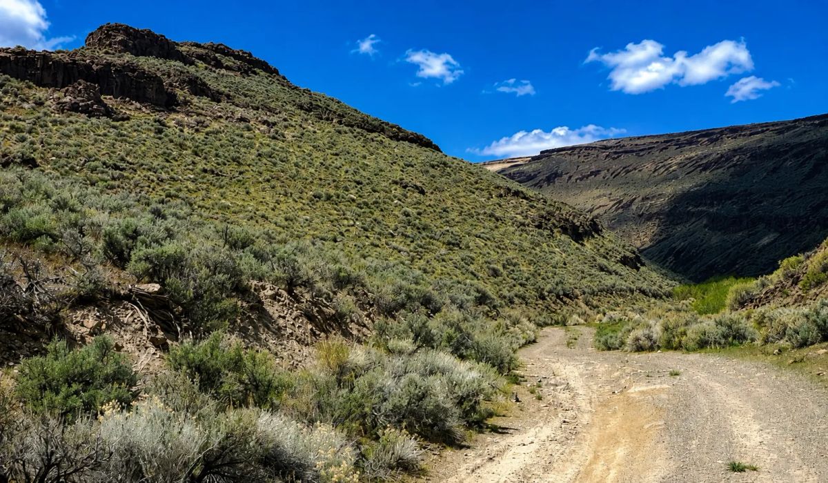 Decorative background for Gold Country Is Booming Again — Own 170 Acres of Nevada Freedom! Discover an extraordinary opportunity to own approximately 170 acres in Crescent Valley, Lander County, Nevada. image 15