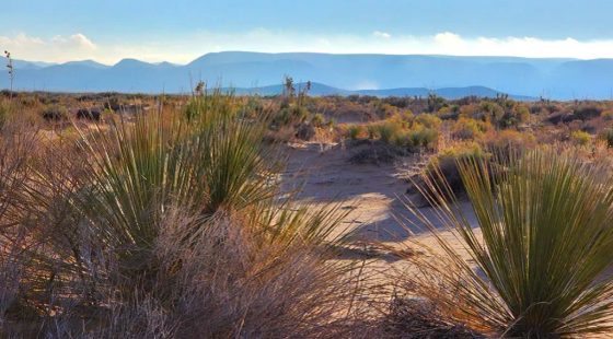 Escape the grid and step into the ultimate frontier of true American freedom with this incredible 0.5-acre high-desert paradise! in El Paso County, TX