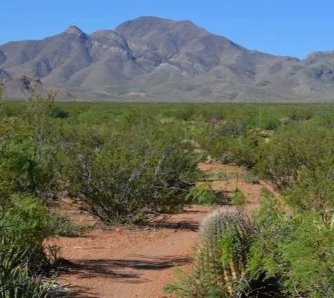 Escape the grid and step into the ultimate frontier of true American freedom with this incredible 0.5-acre high-desert paradise! in El Paso County, TX