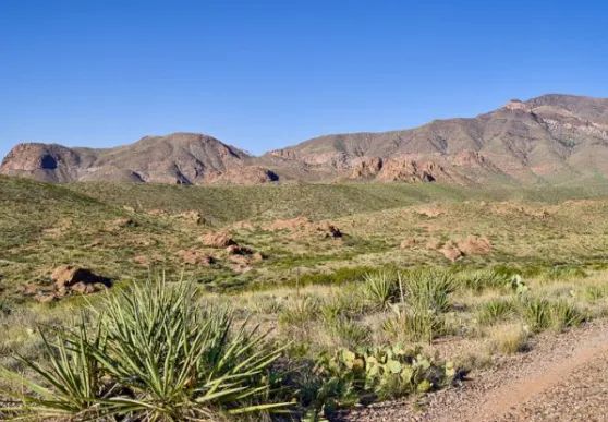 Escape the grid and step into the ultimate frontier of true American freedom with this incredible 0.5-acre high-desert paradise! - Image 4