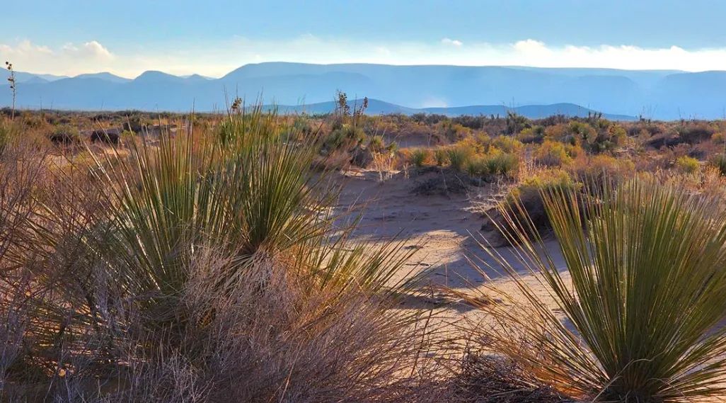 Decorative background for Escape the grid and step into the ultimate frontier of true American freedom with this incredible 0.5-acre high-desert paradise! image 5