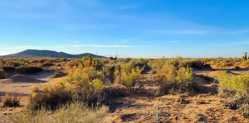 Decorative background for Escape the grid and step into the ultimate frontier of true American freedom with this incredible 0.5-acre high-desert paradise! image 6