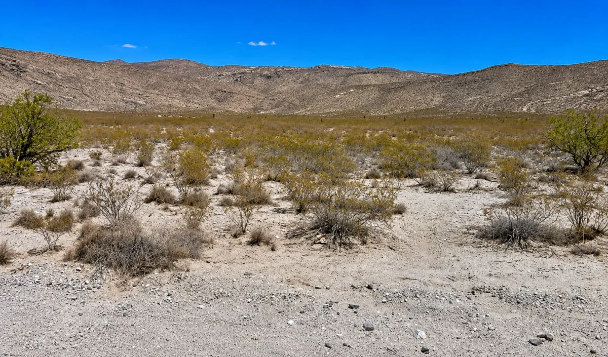 Decorative background for Escape the grid and step into the ultimate frontier of true American freedom with this incredible 0.5-acre high-desert paradise! image 7
