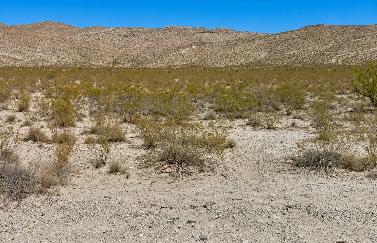 Decorative background for Escape the grid and step into the ultimate frontier of true American freedom with this incredible 0.5-acre high-desert paradise! image 10