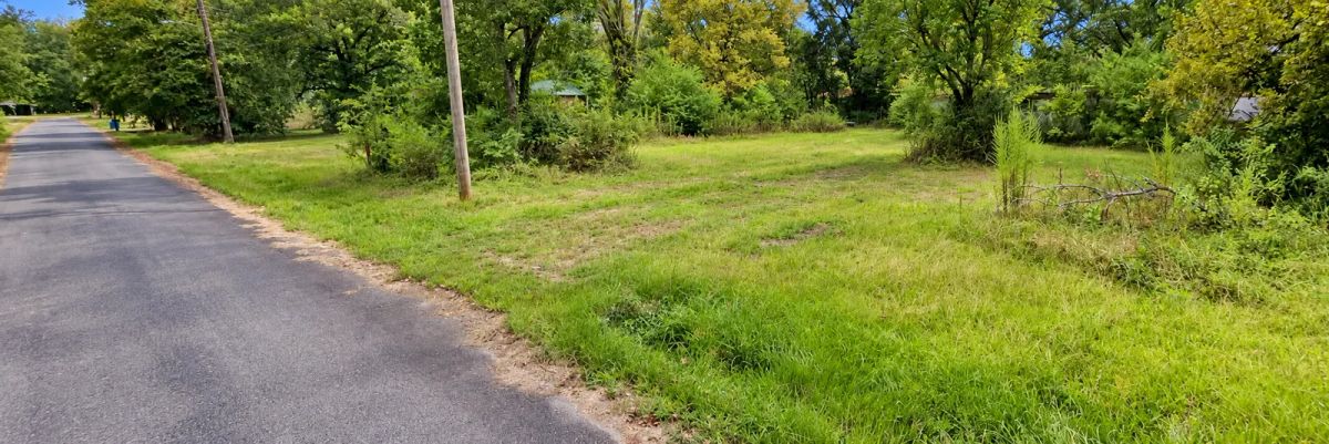 Decorative background for 14929 Acres in OUACHITA County, Arkansas image 5