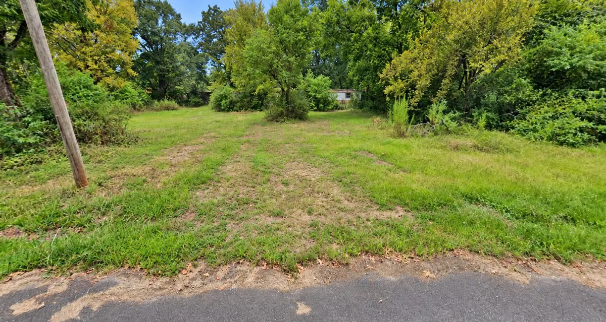 Decorative background for 14929 Acres in OUACHITA County, Arkansas image 8