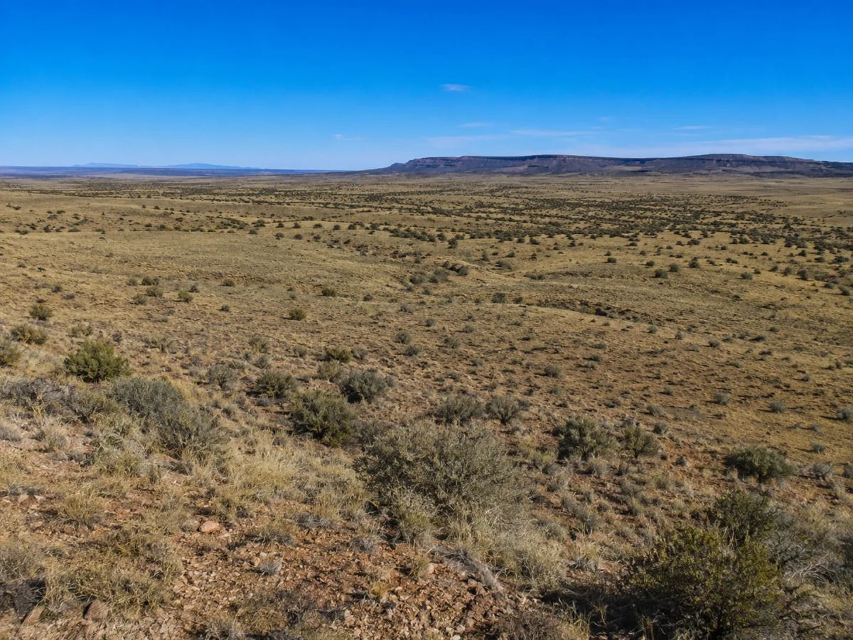 Immerse yourself in the breathtaking beauty of wide-open spaces with this exceptional 15 acre property located in Navajo County- Joseph City Arizona. APN: 104-42-010C - Image 2