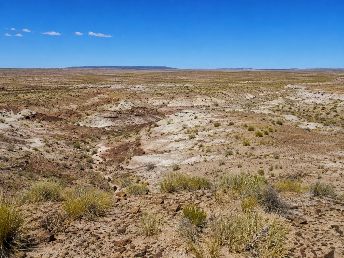 Immerse yourself in the breathtaking beauty of wide-open spaces with this exceptional 15 acre property located in Navajo County- Joseph City Arizona. APN: 104-42-010C - Image 3