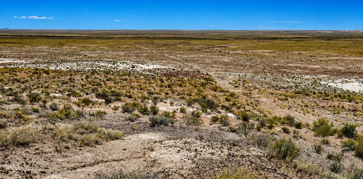 Immerse yourself in the breathtaking beauty of wide-open spaces with this exceptional 15 acre property located in Navajo County- Joseph City Arizona. APN: 104-42-010C - Image 4