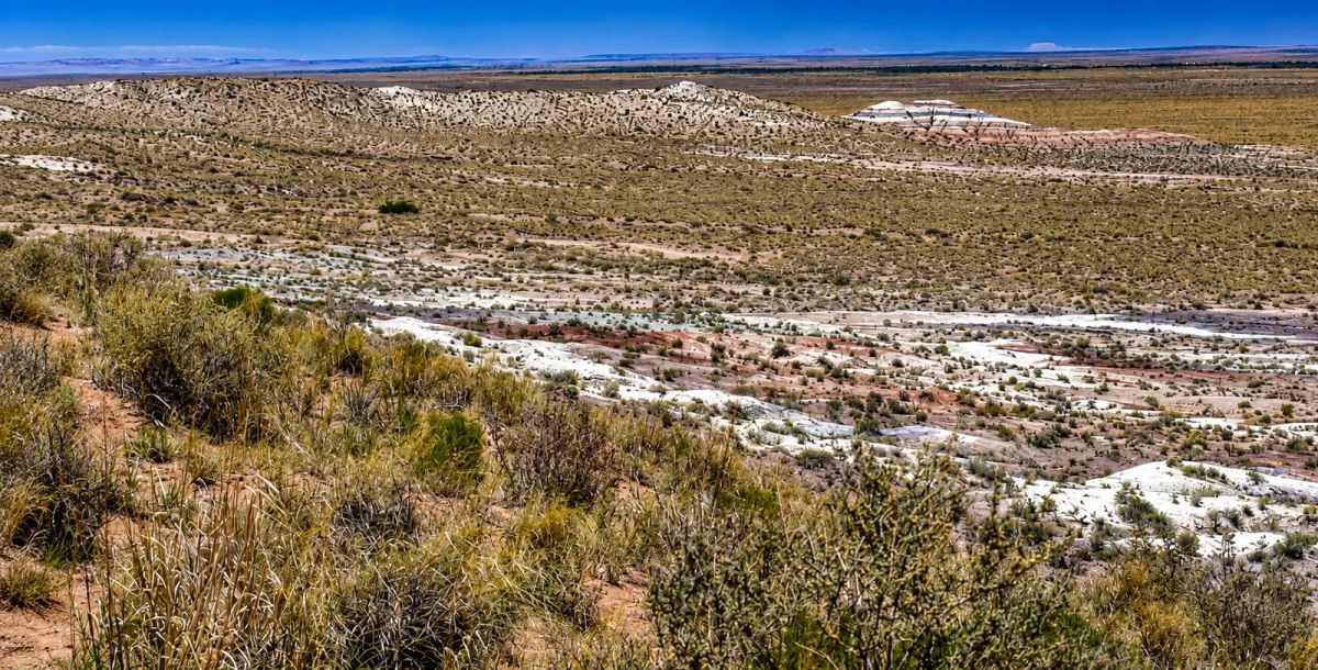 Decorative background for Immerse yourself in the breathtaking beauty of wide-open spaces with this exceptional 15 acre property located in Navajo County- Joseph City Arizona. APN: 104-42-010C image 5