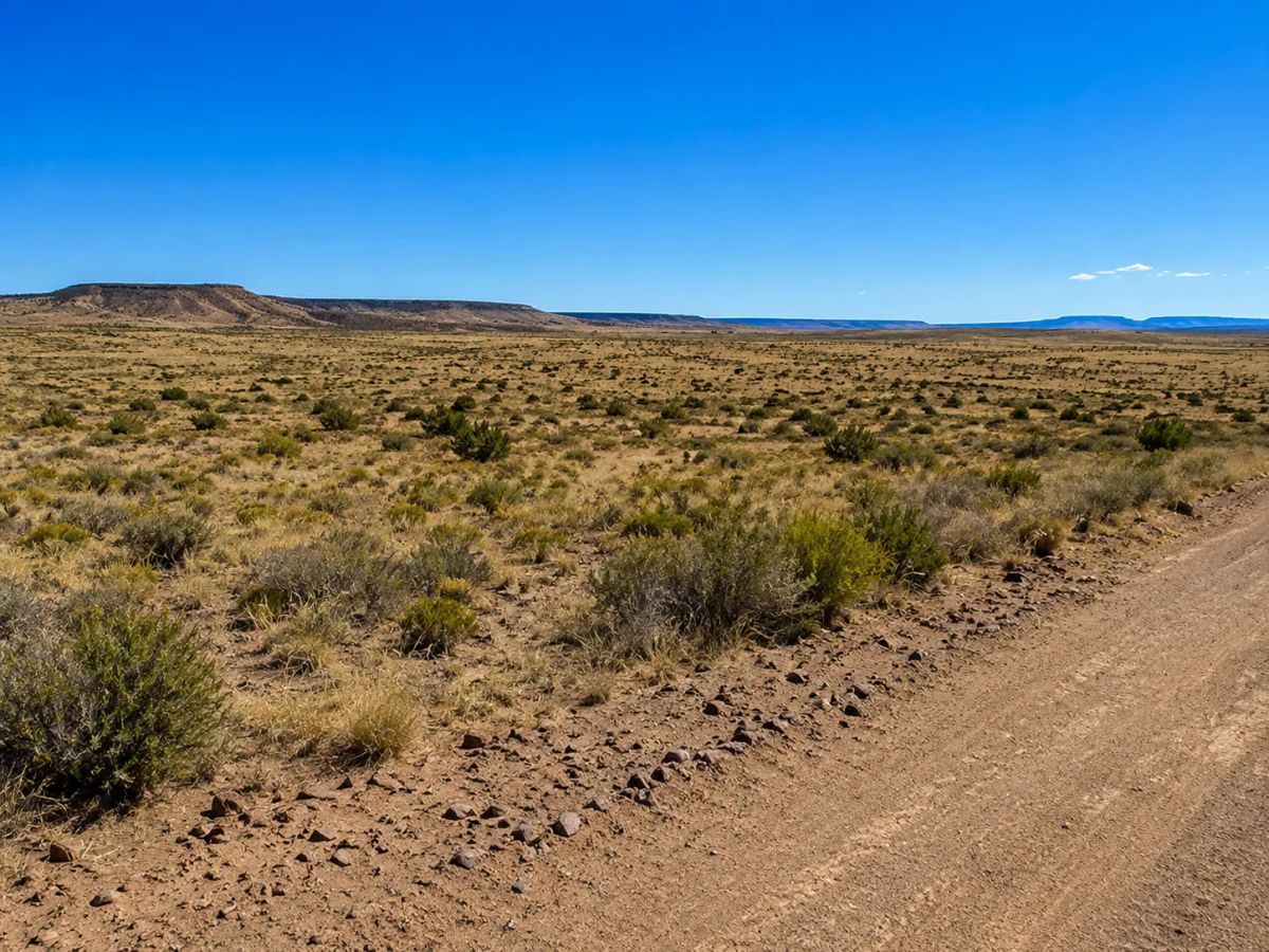 Decorative background for Immerse yourself in the breathtaking beauty of wide-open spaces with this exceptional 15 acre property located in Navajo County- Joseph City Arizona. APN: 104-42-010C image 7