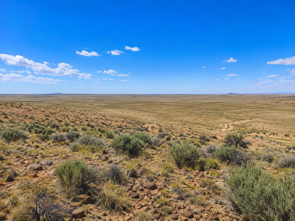 Decorative background for Immerse yourself in the breathtaking beauty of wide-open spaces with this exceptional 15 acre property located in Navajo County- Joseph City Arizona. APN: 104-42-010C image 10
