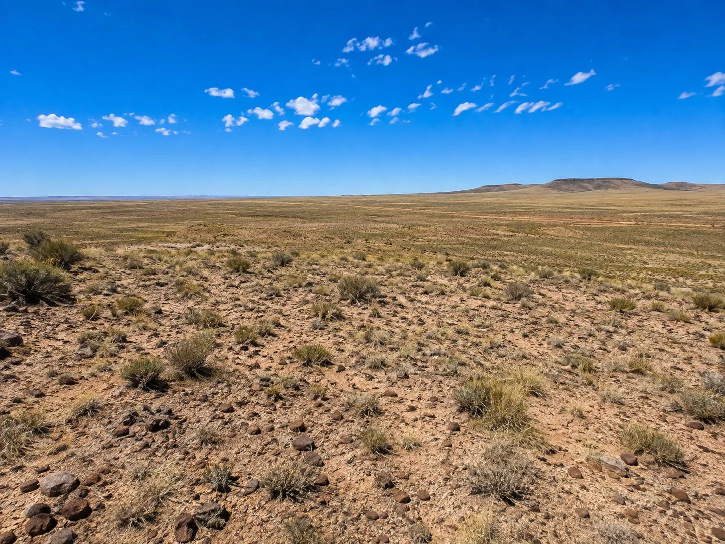 Immerse yourself in the breathtaking beauty of wide-open spaces with this exceptional 15 acre property located in Navajo County- Joseph City Arizona. APN: 104-42-010C