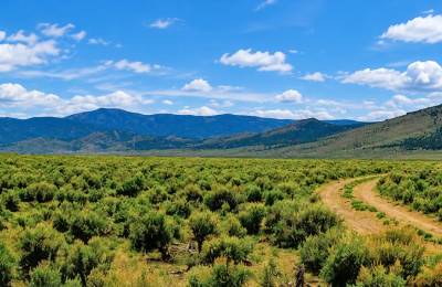 46 Acres! Surveyed! Welcome to your own private frontier in the heart of Pershing County!