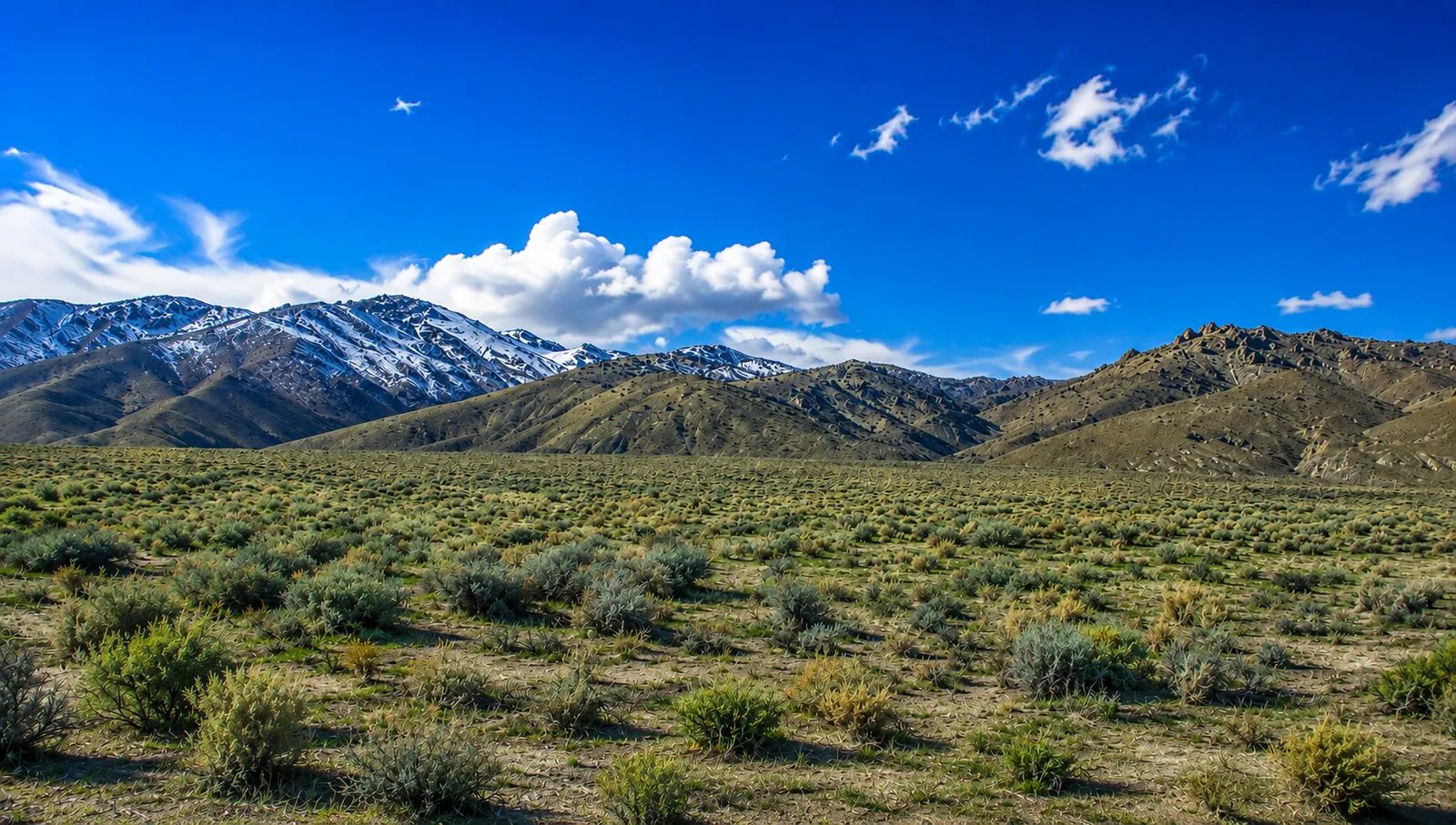 46 Acres! Surveyed! Welcome to your own private frontier in the heart of Pershing County! in Pershing County, NV