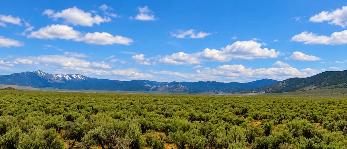 Decorative background for 46 Acres! Surveyed! Welcome to your own private frontier in the heart of Pershing County! image 10