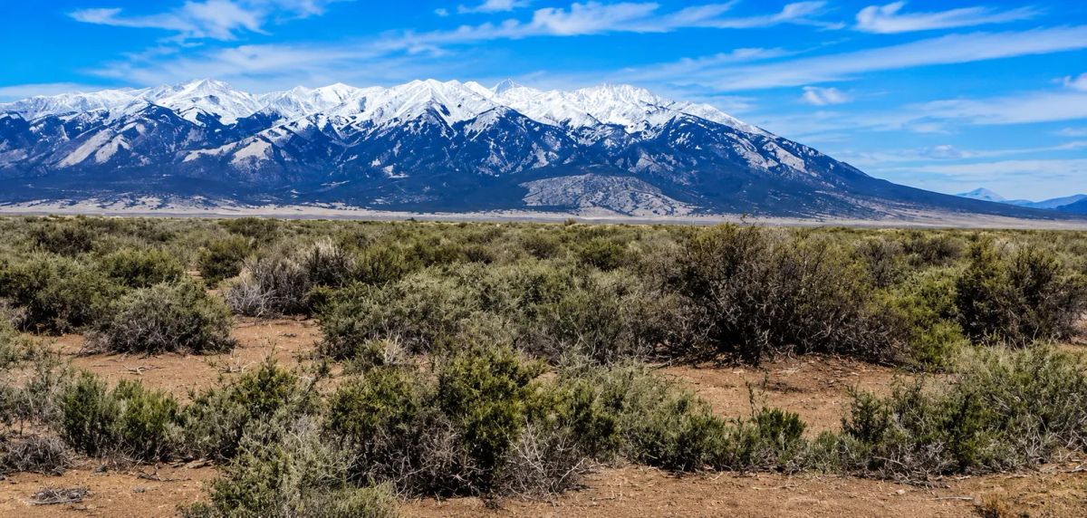 40 Acres of Colorado Freedom in the Spectacular San Luis Valley! Escape the crowds and own your own 40-acre Colorado ranch with breathtaking mountain views, endless possibilities, and true freedom! - Main image