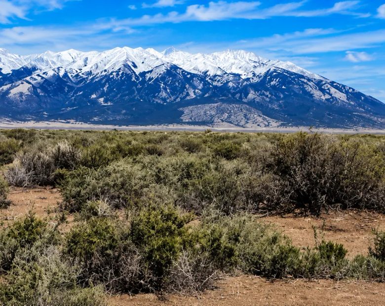 40 Acres of Colorado Freedom in the Spectacular San Luis Valley! Escape the crowds and own your own 40-acre Colorado ranch with breathtaking mountain views, endless possibilities, and true freedom! in Alamosa County, CO