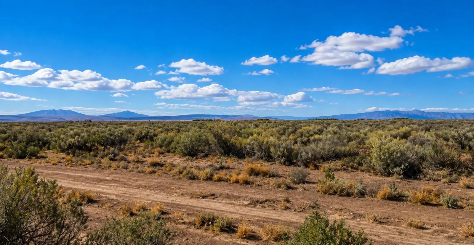 40 Acres of Colorado Freedom in the Spectacular San Luis Valley! Escape the crowds and own your own 40-acre Colorado ranch with breathtaking mountain views, endless possibilities, and true freedom! in Alamosa County, CO