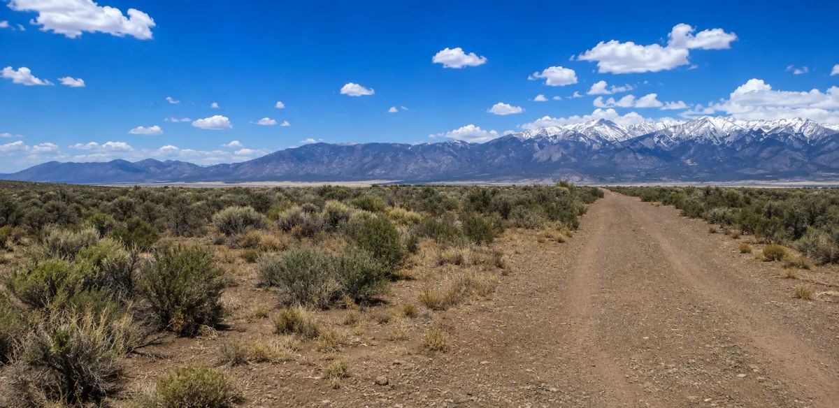 Decorative background for 40 Acres of Colorado Freedom in the Spectacular San Luis Valley! Escape the crowds and own your own 40-acre Colorado ranch with breathtaking mountain views, endless possibilities, and true freedom! image 6