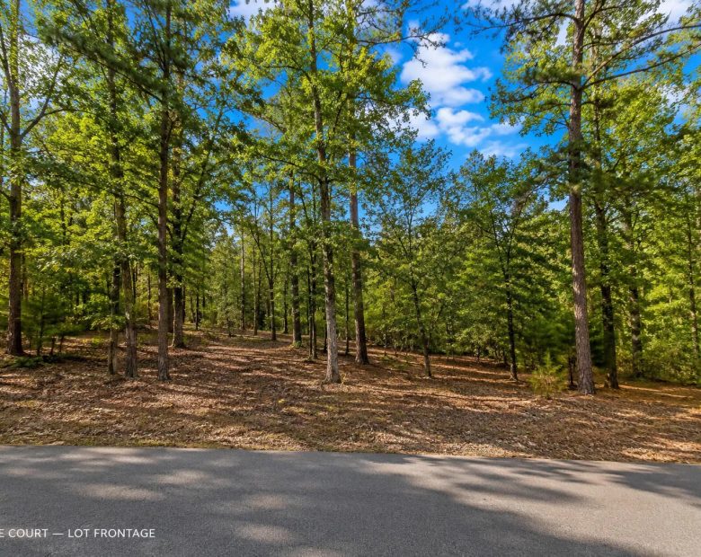 Time to bring your Camper or RV! DISCOVER GREERS FERRY LAKE PROPERTY WITH UTILITEIS IN VAN BUREN ARKANSAS! in Van Buren County, AR
