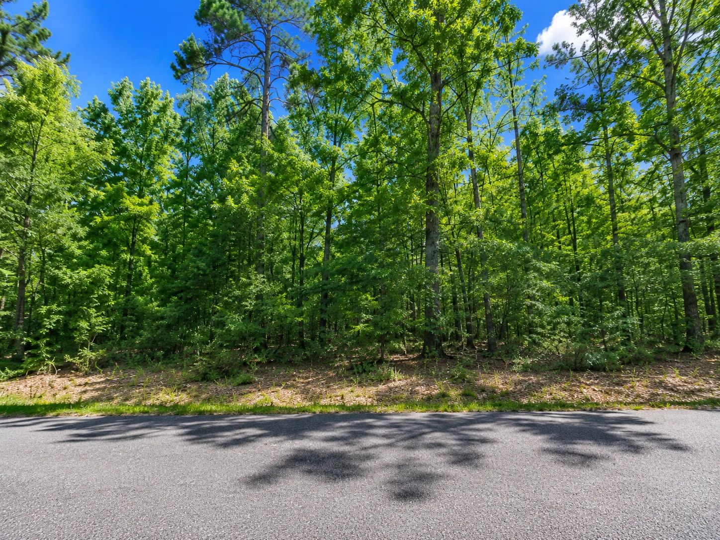 Time to bring your Camper or RV! DISCOVER GREERS FERRY LAKE PROPERTY WITH UTILITEIS IN VAN BUREN ARKANSAS! in Van Buren County, AR