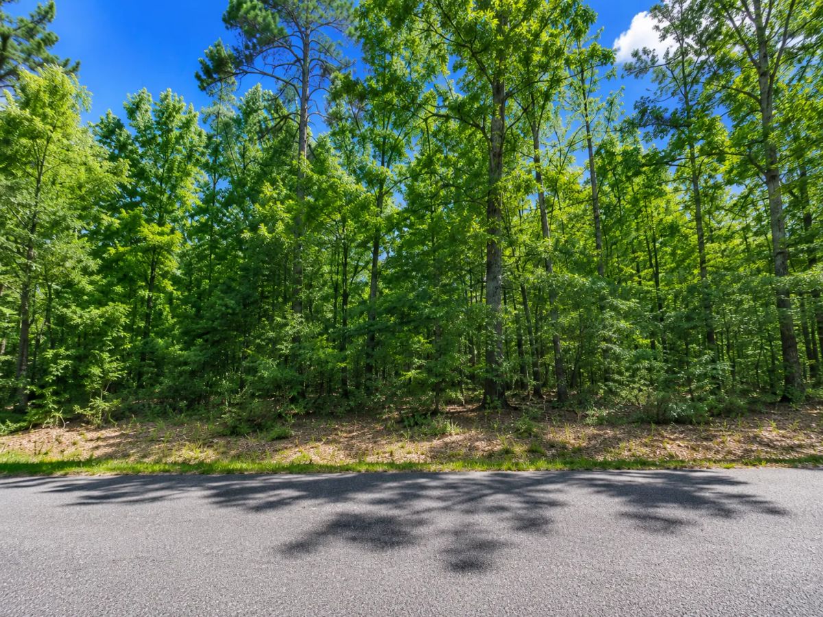 Time to bring your Camper or RV! DISCOVER GREERS FERRY LAKE PROPERTY WITH UTILITEIS IN VAN BUREN ARKANSAS! - Image 4