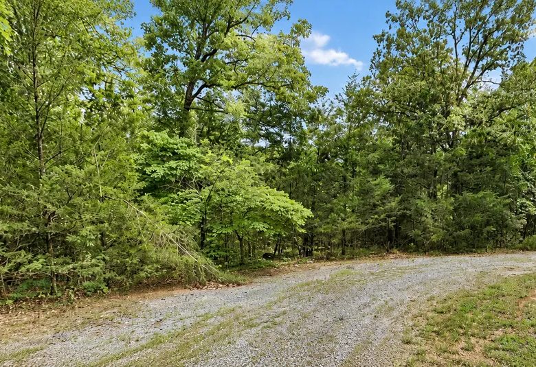 Discover a 16,358 Sq Ft Residential Property- Near Lake Aztec-Fulton County Arkansas -Road Frontage & Power APN : 305-17753-000 in Fulton County, AR