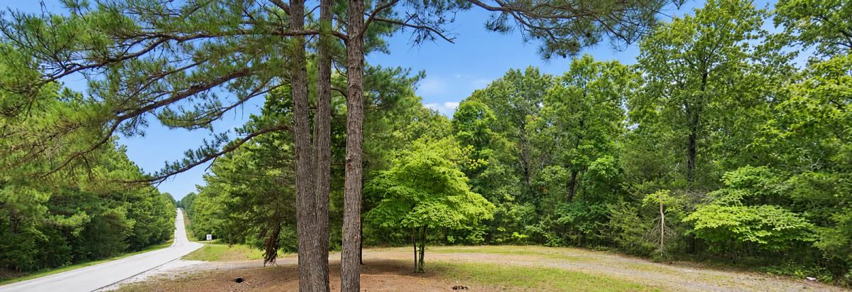 Discover a 16,358 Sq Ft Residential Property- Near Lake Aztec-Fulton County Arkansas -Road Frontage & Power APN : 305-17753-000 - Image 3