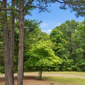 Discover a 16,358 Sq Ft Residential Property- Near Lake Aztec-Fulton County Arkansas -Road Frontage & Power APN : 305-17753-000 in Fulton County, AR