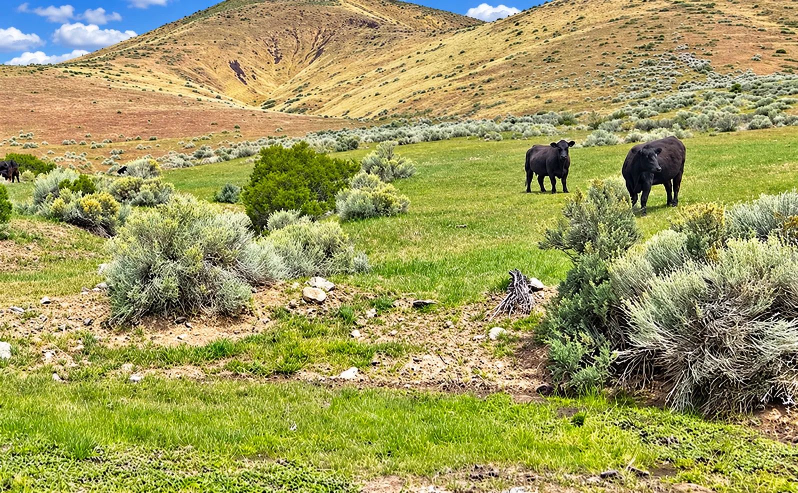 Discover wide-open Nevada living on this 124-acre high-desert ranch in Antelope Valley, Pershing County.