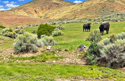 Discover wide-open Nevada living on this 124-acre high-desert ranch in Antelope Valley, Pershing County.