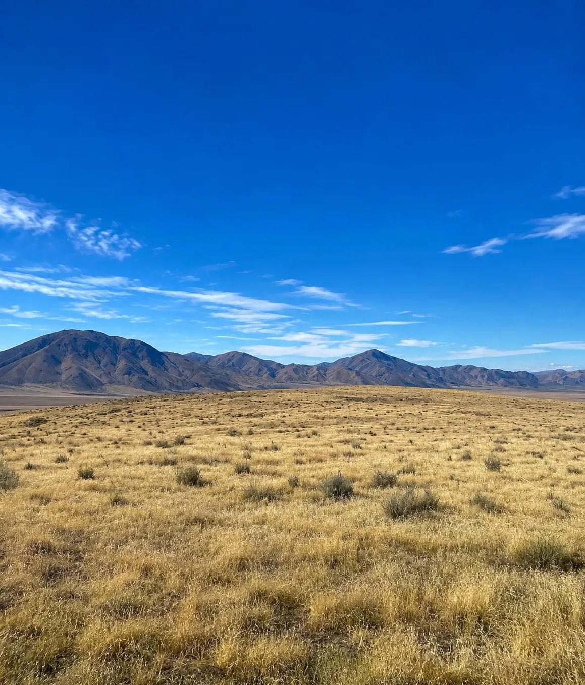 Decorative background for Discover wide-open Nevada living on this 124-acre high-desert ranch in Antelope Valley, Pershing County. image 7