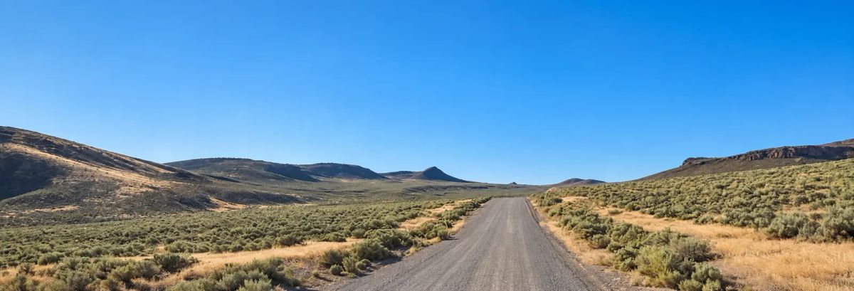 Decorative background for 320 Acres Surrounded by BLM Government Land — East of Seven Troughs Mountain! Imagine a private country retreat, a future home with sweeping views, or space for farming and agricultural pursuits. image 10
