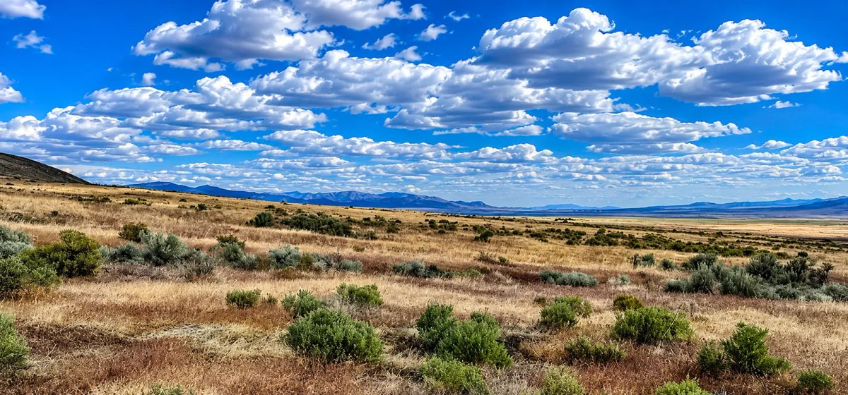 Decorative background for 320 Acres Surrounded by BLM Government Land — East of Seven Troughs Mountain! Imagine a private country retreat, a future home with sweeping views, or space for farming and agricultural pursuits. image 12