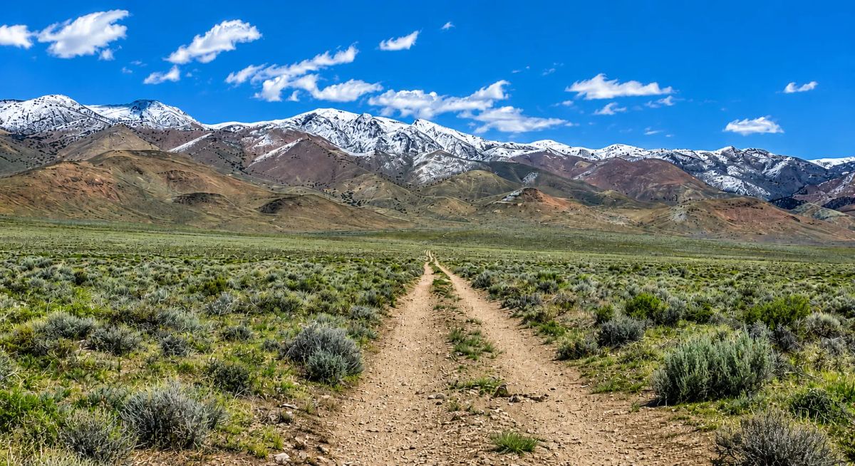 Decorative background for 320 Acres Surrounded by BLM Government Land — East of Seven Troughs Mountain! Imagine a private country retreat, a future home with sweeping views, or space for farming and agricultural pursuits. image 18