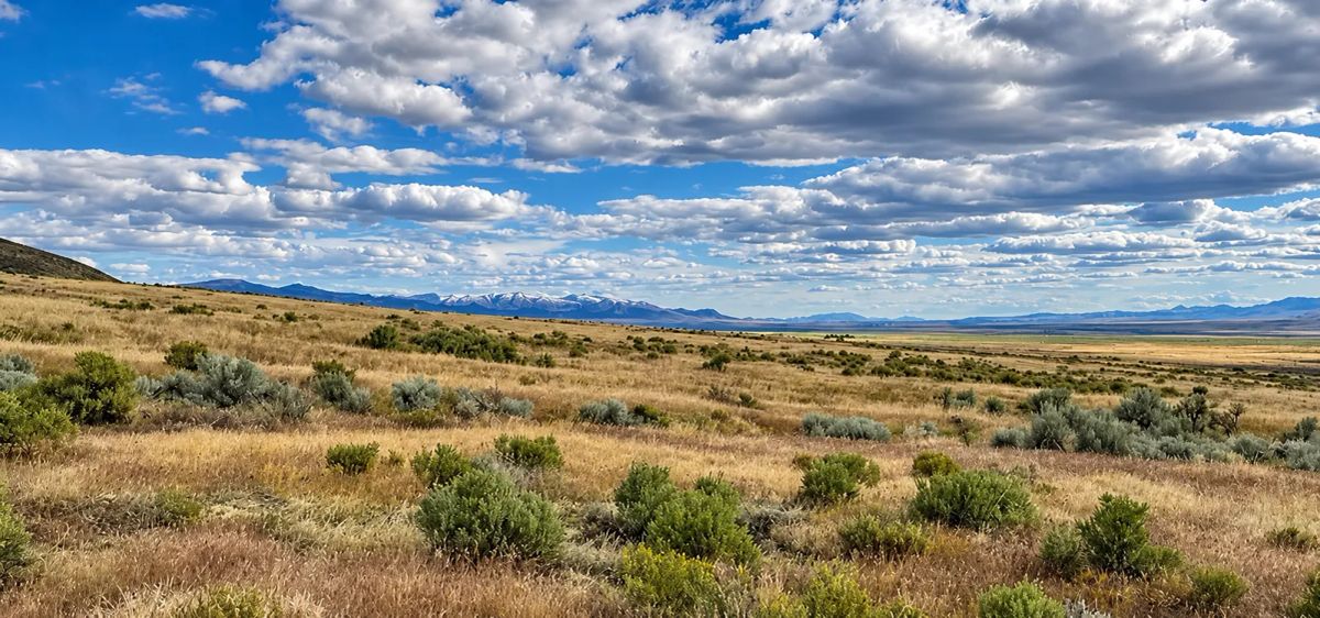 Decorative background for 320 Acres Surrounded by BLM Government Land — East of Seven Troughs Mountain! Imagine a private country retreat, a future home with sweeping views, or space for farming and agricultural pursuits. image 29