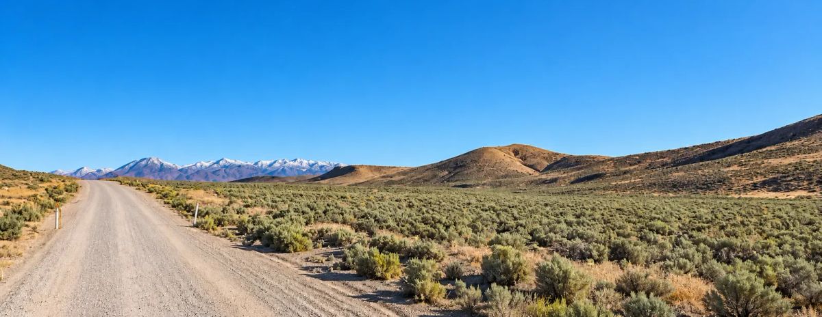 320 Acres Surrounded by BLM Government Land — East of Seven Troughs Mountain! Imagine a private country retreat, a future home with sweeping views, or space for farming and agricultural pursuits. - Main image