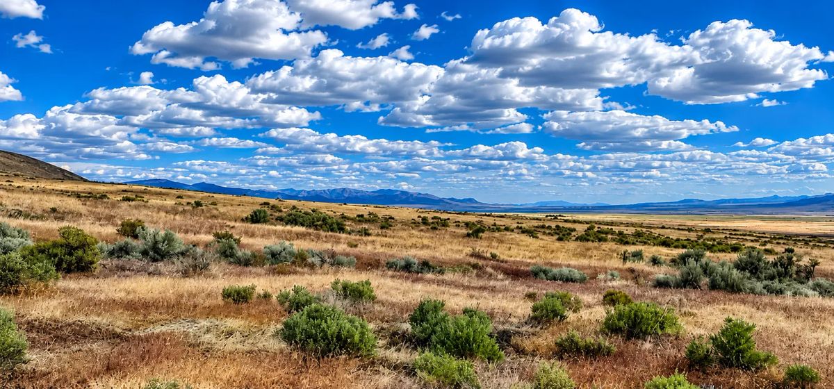 Decorative background for 320 Acres Surrounded by BLM Government Land — East of Seven Troughs Mountain! Imagine a private country retreat, a future home with sweeping views, or space for farming and agricultural pursuits. image 17