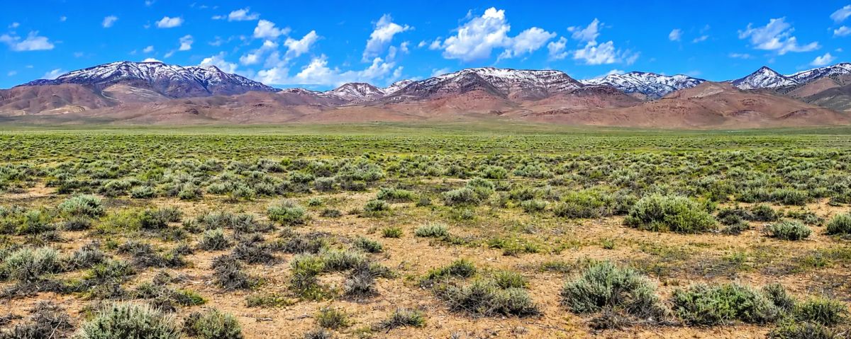 Decorative background for 320 Acres Surrounded by BLM Government Land — East of Seven Troughs Mountain! Imagine a private country retreat, a future home with sweeping views, or space for farming and agricultural pursuits. image 22